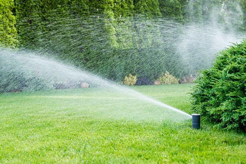 gestion raisonnée des ressources au jardin